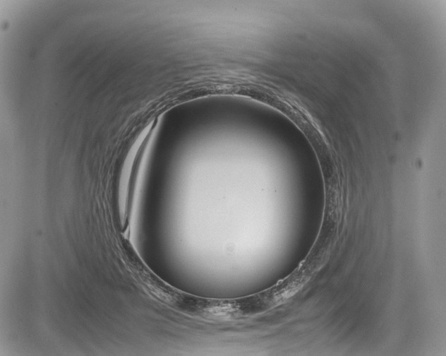 X0000085270505200703161433