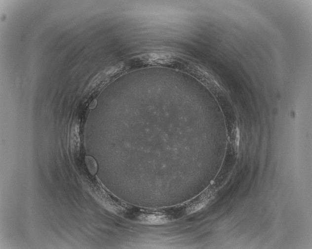 X0000085270506200703161433