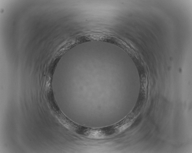 X0000085270507200703161433