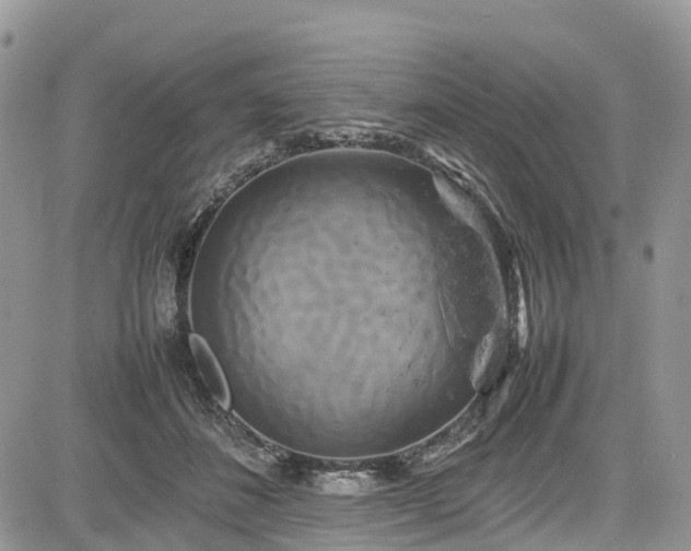 X0000085270508200703161433