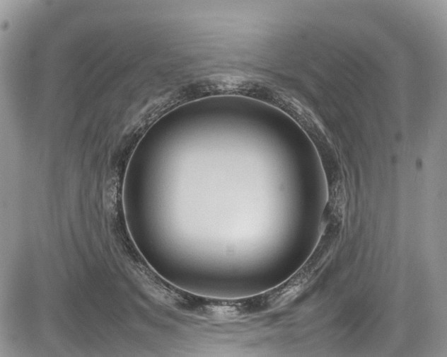 X0000085270509200703161433