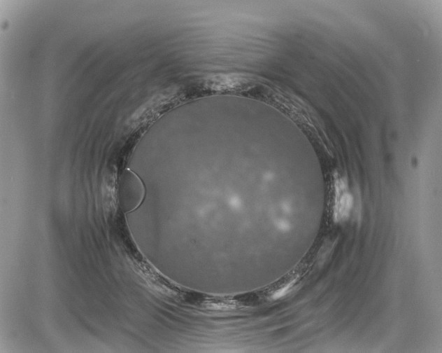 X0000085270510200703161433