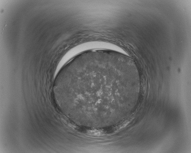 X0000085270511200703161433