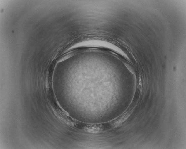 X0000085270512200703161433