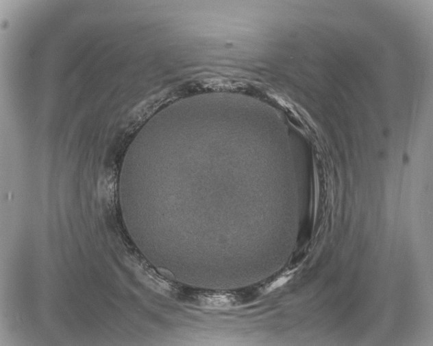 X0000085270513200703161433