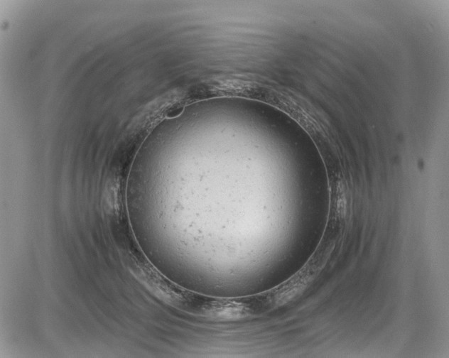 X0000085270514200703161433