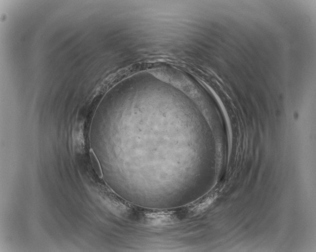 X0000085270516200703161433