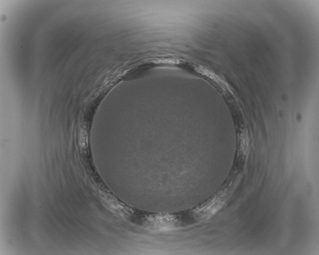 X0000085270517200703161433