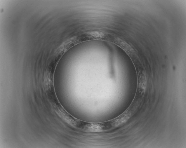 X0000085270518200703161433