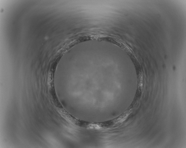 X0000085270519200703161433