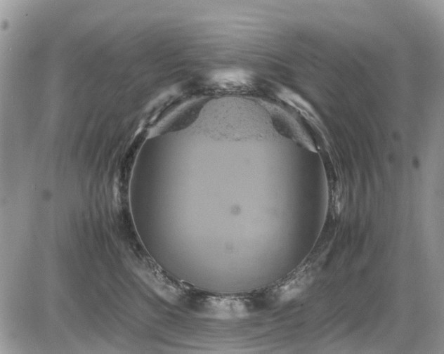 X0000085270520200703161433