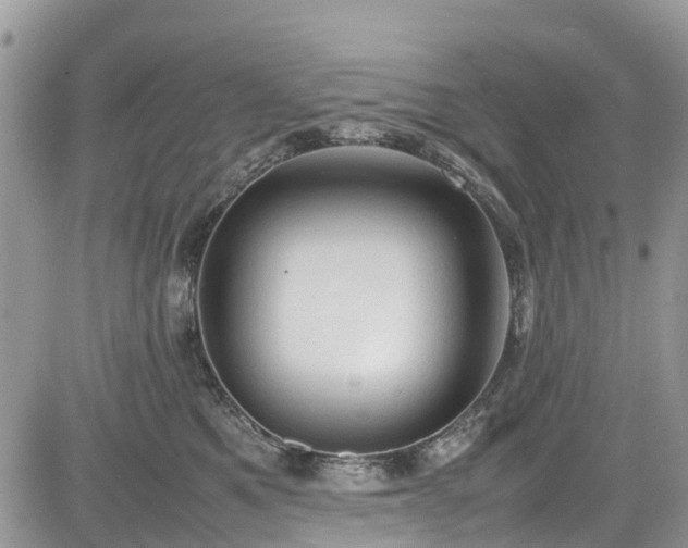 X0000085270521200703161433