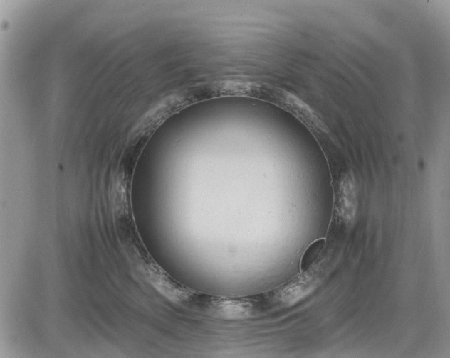 X0000085270522200703161433