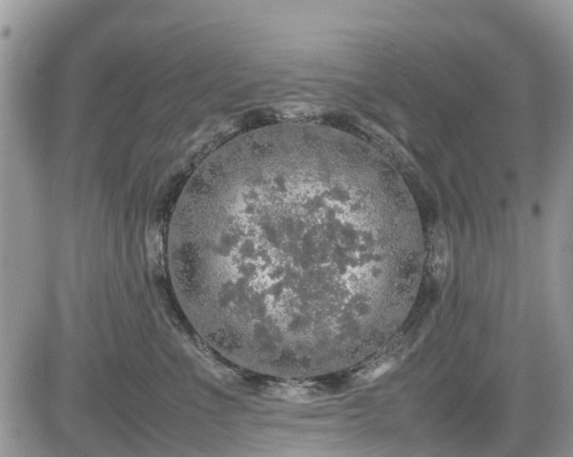 X0000085270523200703161433