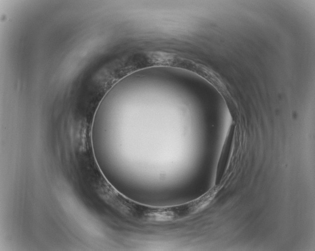 X0000085270525200703161433