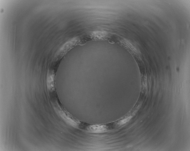 X0000085270526200703161433