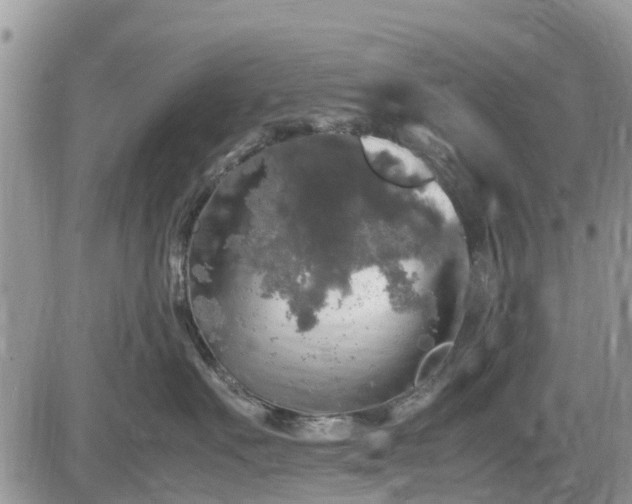 X0000085270527200703161433