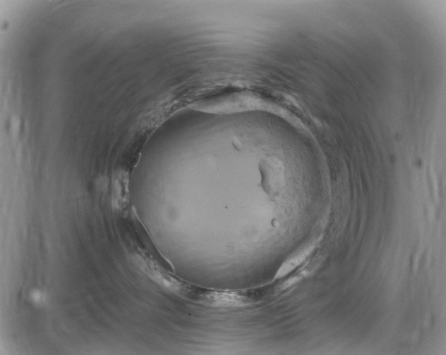 X0000085270528200703161433