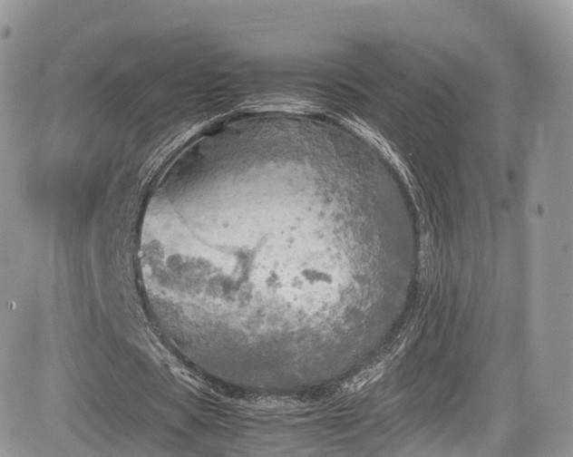 X0000085270529200703161432