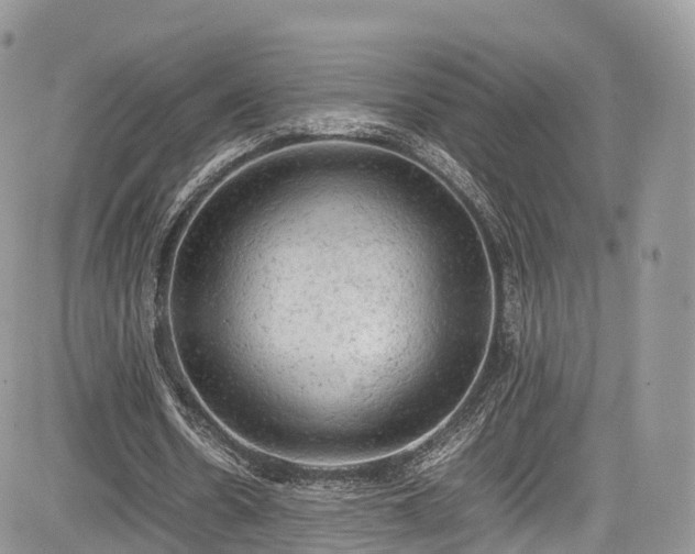 X0000085270530200703161432