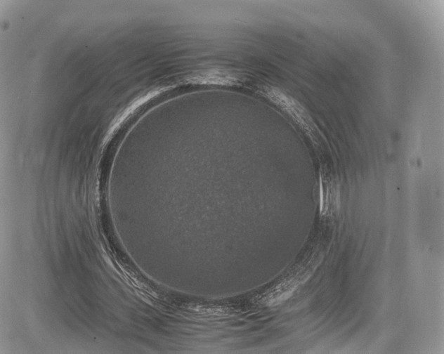 X0000085270531200703161432