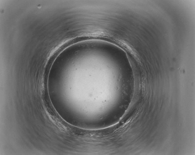 X0000085270532200703161432