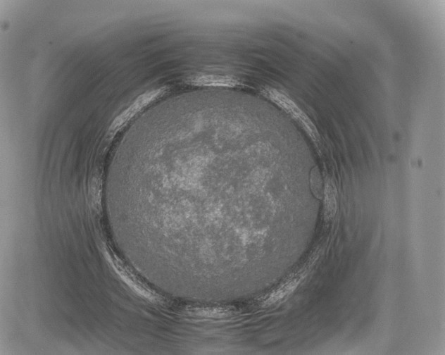 X0000085270533200703161432