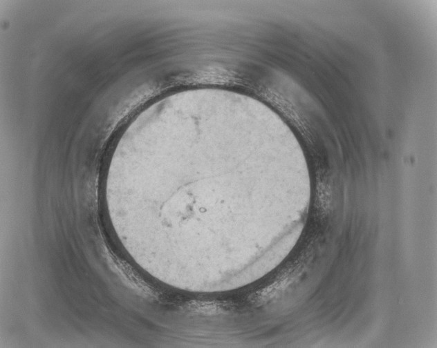 X0000085270534200703161432