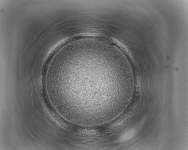 X0000085270535200703161432