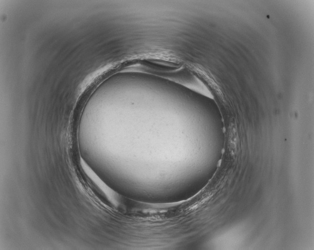 X0000085270536200703161432