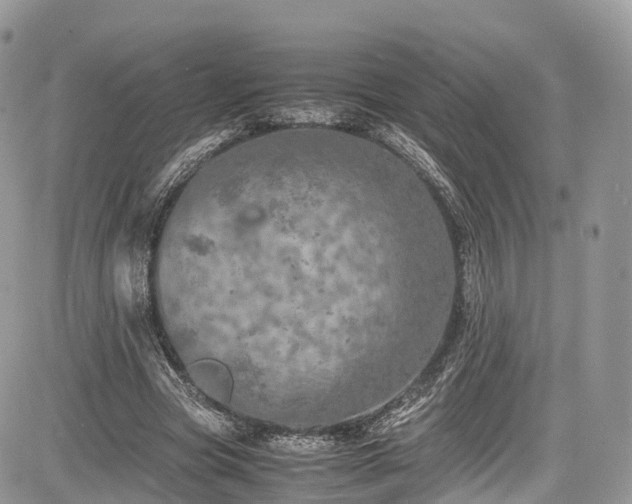 X0000085270537200703161432