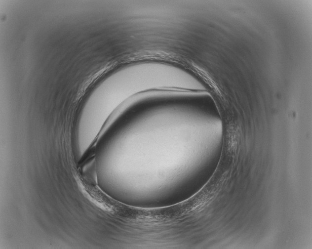 X0000085270538200703161432