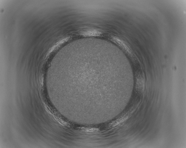 X0000085270539200703161432