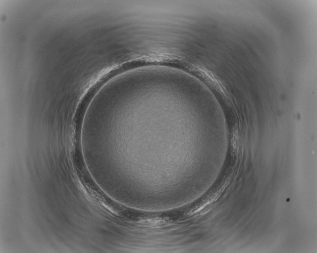 X0000085270540200703161432