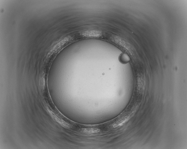 X0000085270541200703161432