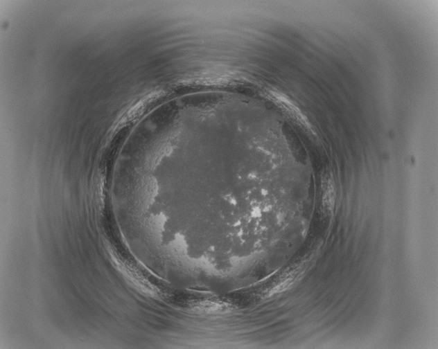 X0000085270542200703161432