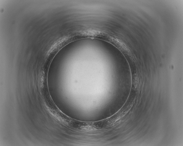 X0000085270544200703161432