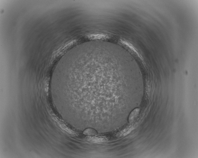 X0000085270545200703161432