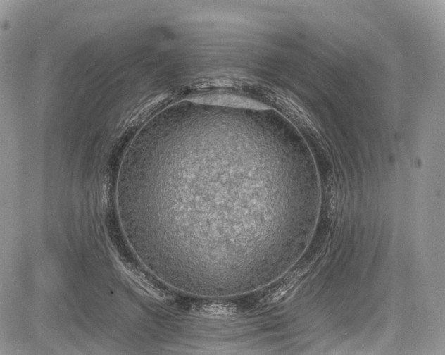 X0000085270546200703161432