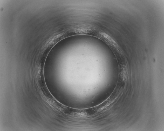 X0000085270548200703161432