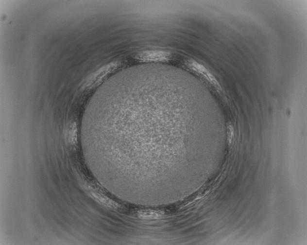 X0000085270549200703161432