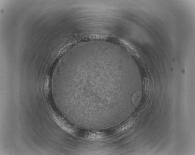 X0000085270550200703161432