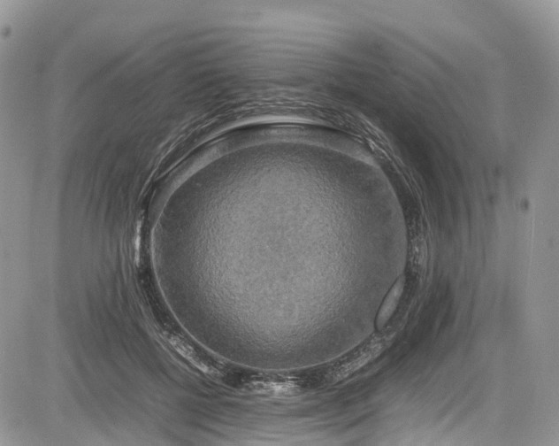 X0000085270552200703161432