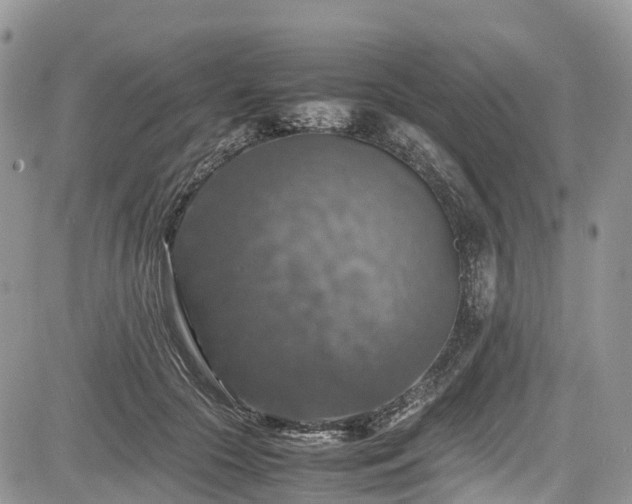 X0000085270553200703161432