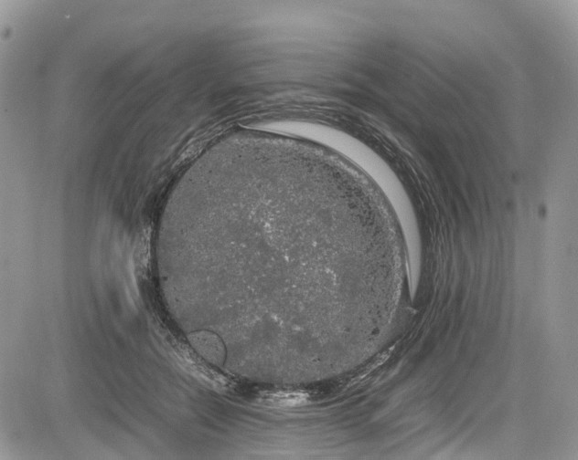 X0000085270554200703161432