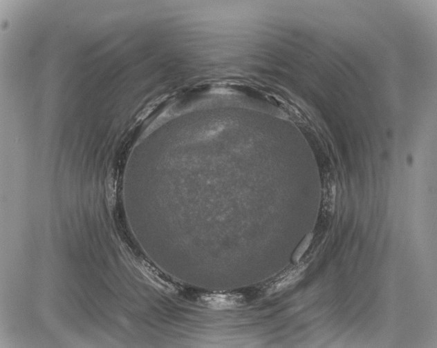 X0000085270558200703161432