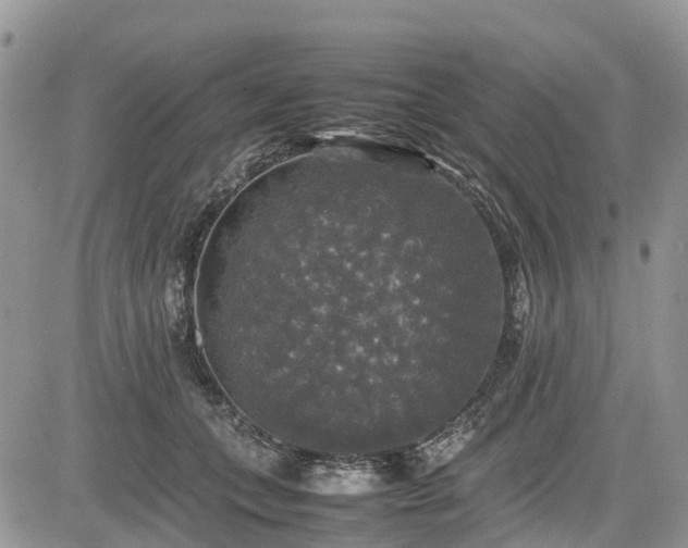 X0000085270559200703161432