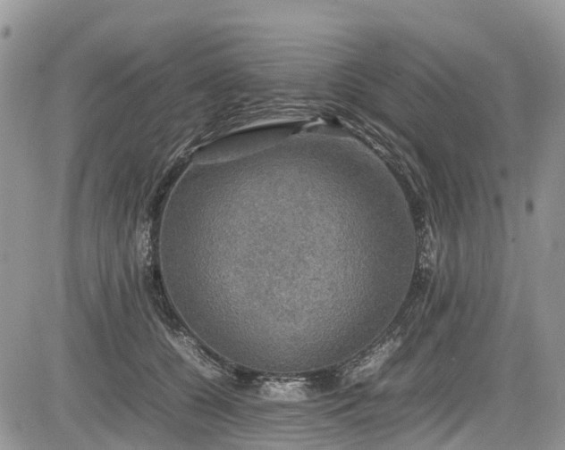 X0000085270560200703161432