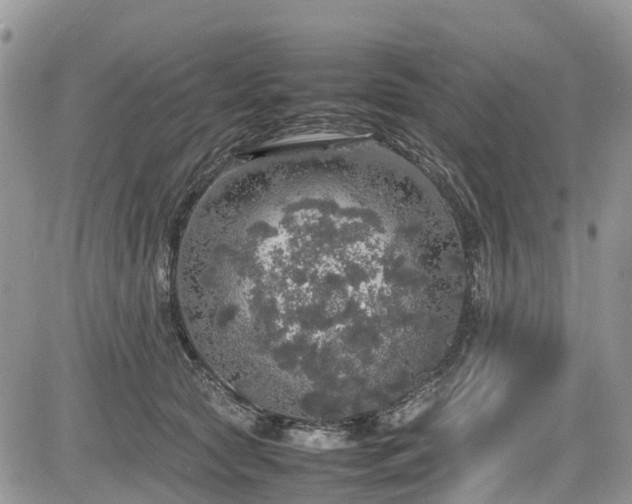 X0000085270561200703161432