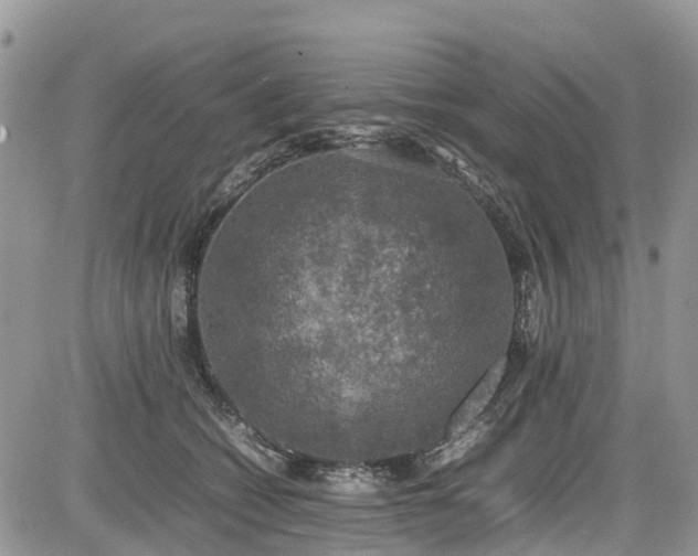 X0000085270562200703161432